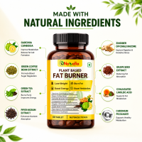 Novella Nutrition Plant based Fat Burner for weight loss Support Tablet - Image 2